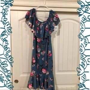 2X LuLaRoe Cici Dress